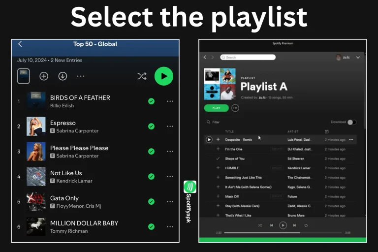 Select the playlist, album, or podcast of your choice.