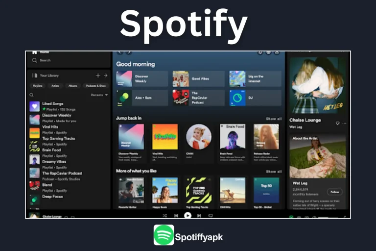 What is Spotify?
