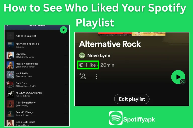 How to See Who Liked Your Spotify Playlist